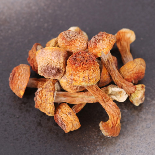 云南特产特级无硫姬松茸干货500g野生姬松茸菌巴西菇干鸡松耸蘑菇 - 图1