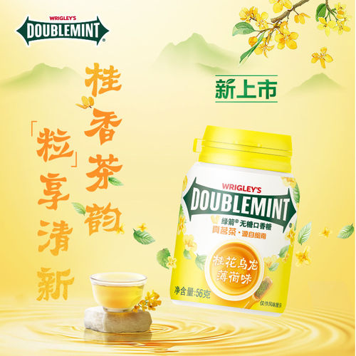 绿箭口香糖大瓶装薄荷味40粒绿茶口香糖零食口气清新瓶装56g糖果 - 图0