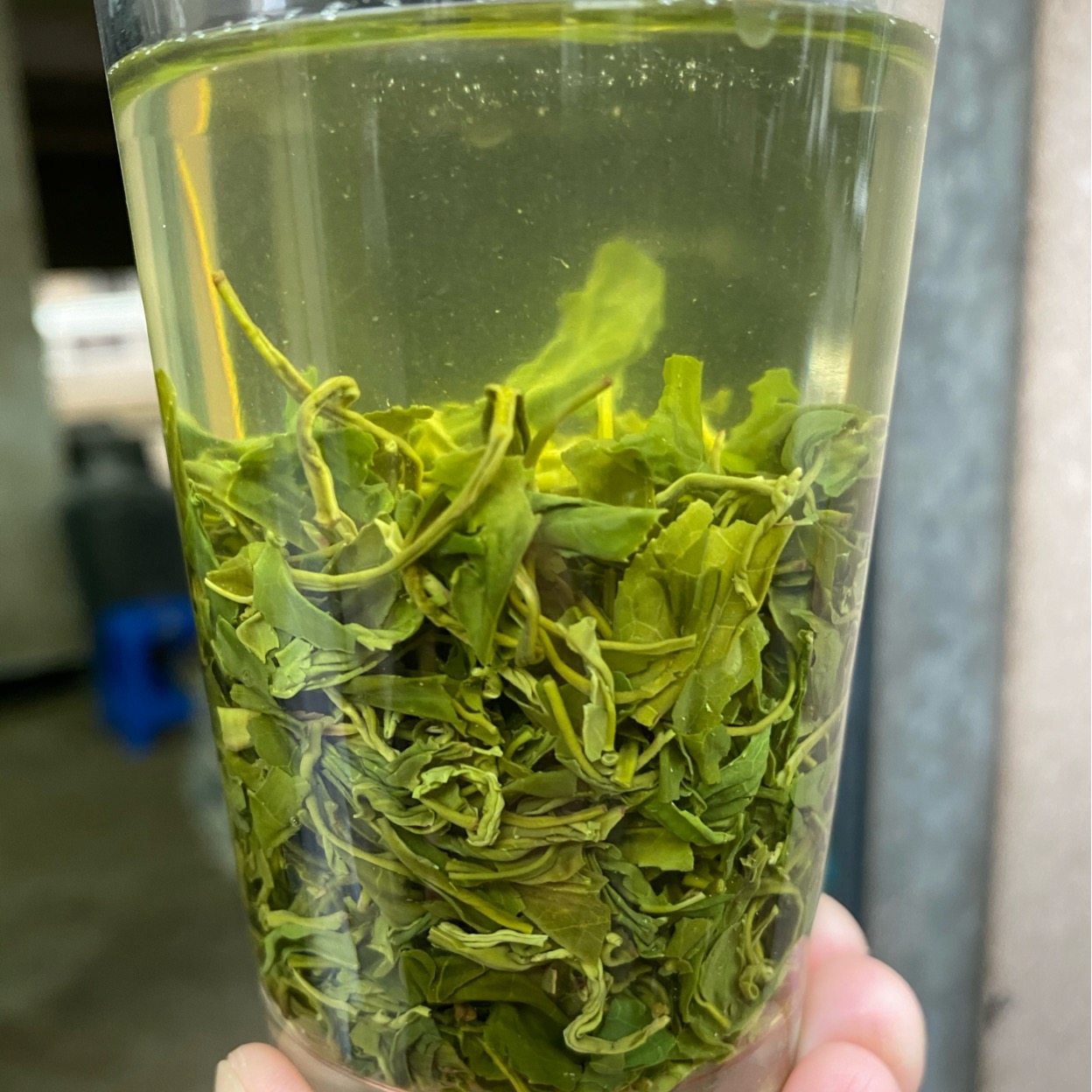 松阳香茶2024年新茶浙江丽水茶叶一斤500克浓香明前绿茶散装春茶 - 图0