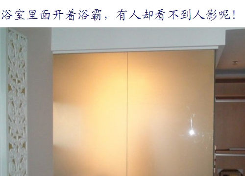无胶静电玻璃贴膜超厚磨砂卫生间浴室隔断窗纸透光不透影私密 - 图2