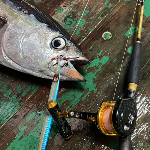 近海船钓自动排线慢摇铁板轮高速比切线锁扣拖钓防海水全金属鼓轮 - 图0