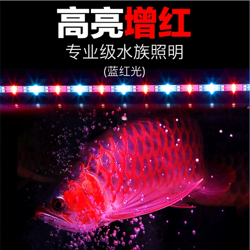 Водонепроницаемый светодиодный аквариум, подводный энергосберегающий светильник