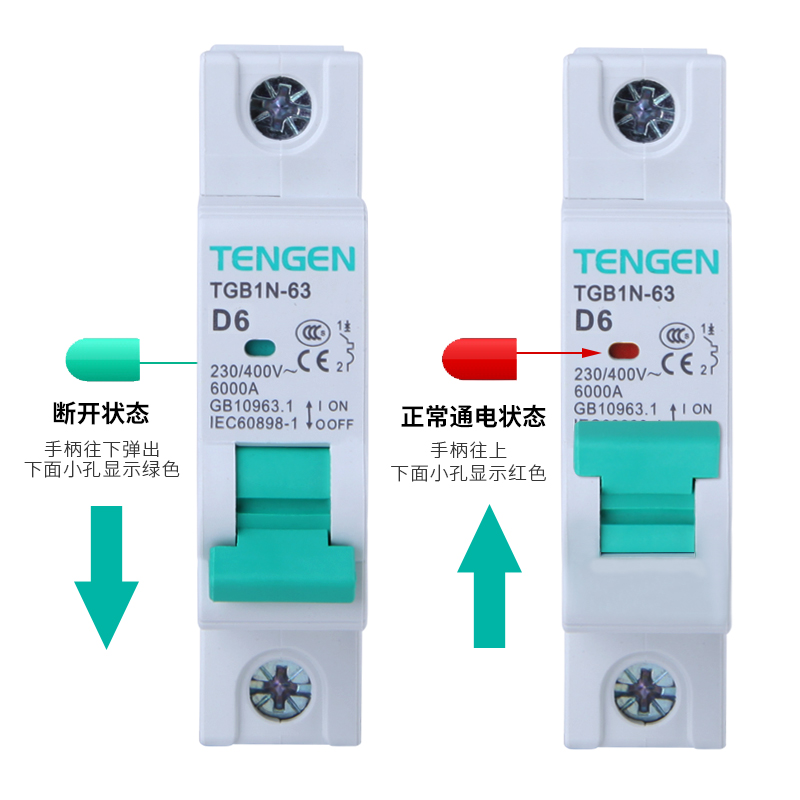 天正电气 TGB1N-63 D型空气开关 电动机动力型断路器 1P 2P 3P 4P - 图2