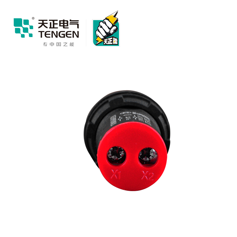 TENGEN天正 TGAD56-22D/S指示灯信号灯警示灯黄绿白蓝红220V 22孔 - 图2