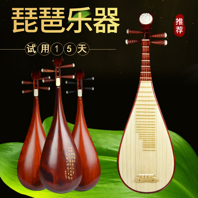 长尧乐器专营店长尧琵琶乐器 成人儿童初学入门考级演奏红木琵琶 弹拨民族乐器0