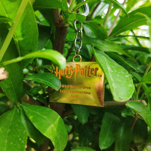 霍格沃茨魔法学校录取通知书Hogwarts学院钥匙扣哈利赫敏电影周边 - 图1