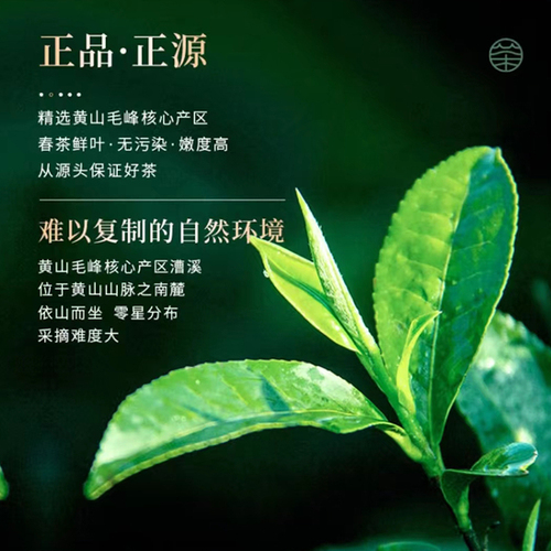 【2024新茶】谢裕大黄山毛峰特级品鉴装8g高山云雾茶春茶绿茶茶叶