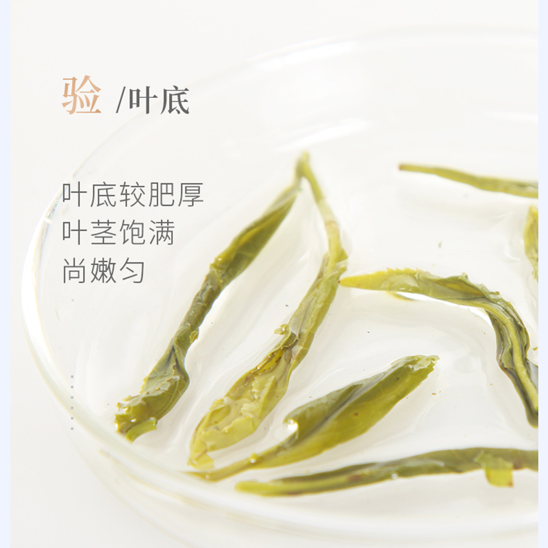 谢裕大黄山毛峰2024新茶雨前二级揉捻春茶绿茶100g高山云雾茶茶叶-图2