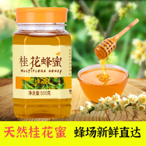 (Osmandarin Honey Provincial Demonstration Brand) Natural fresh nectar pure honey with a catty and sweet and tasty date nectar