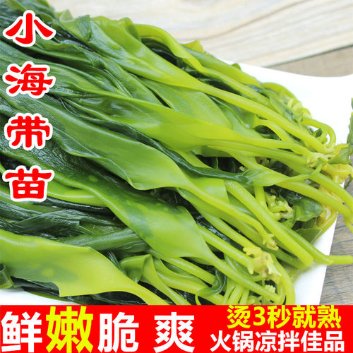 海带苗嫩5斤火锅商用新鲜盐渍霞浦小海带非干货麻辣烫火锅食材 - 图2