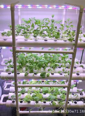 无土栽培水培3层12管108孔带灯LED植物生长补光灯种植机