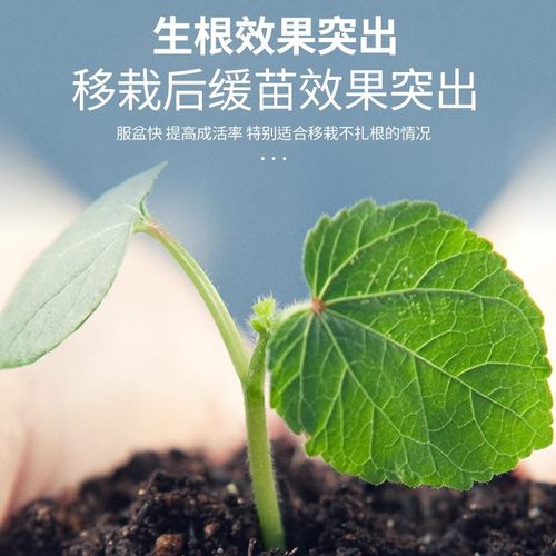 植物活力素浓缩营养液发财树多肉花卉绿植促生根通用型官方旗舰店 - 图3