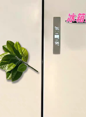 去霉气柚子叶转运冰箱贴