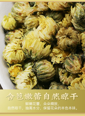 头茬新品胎菊完整大粒滋润去火