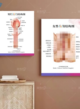 男女生殖结构图装饰画妇科墙壁宣传挂画生殖解剖图健康科普知识