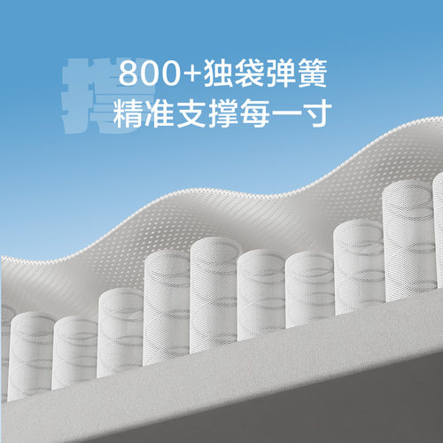【云朗Pro】喜临门官方家用主卧席梦思偏硬黄麻乳胶独袋弹簧床垫 - 图3