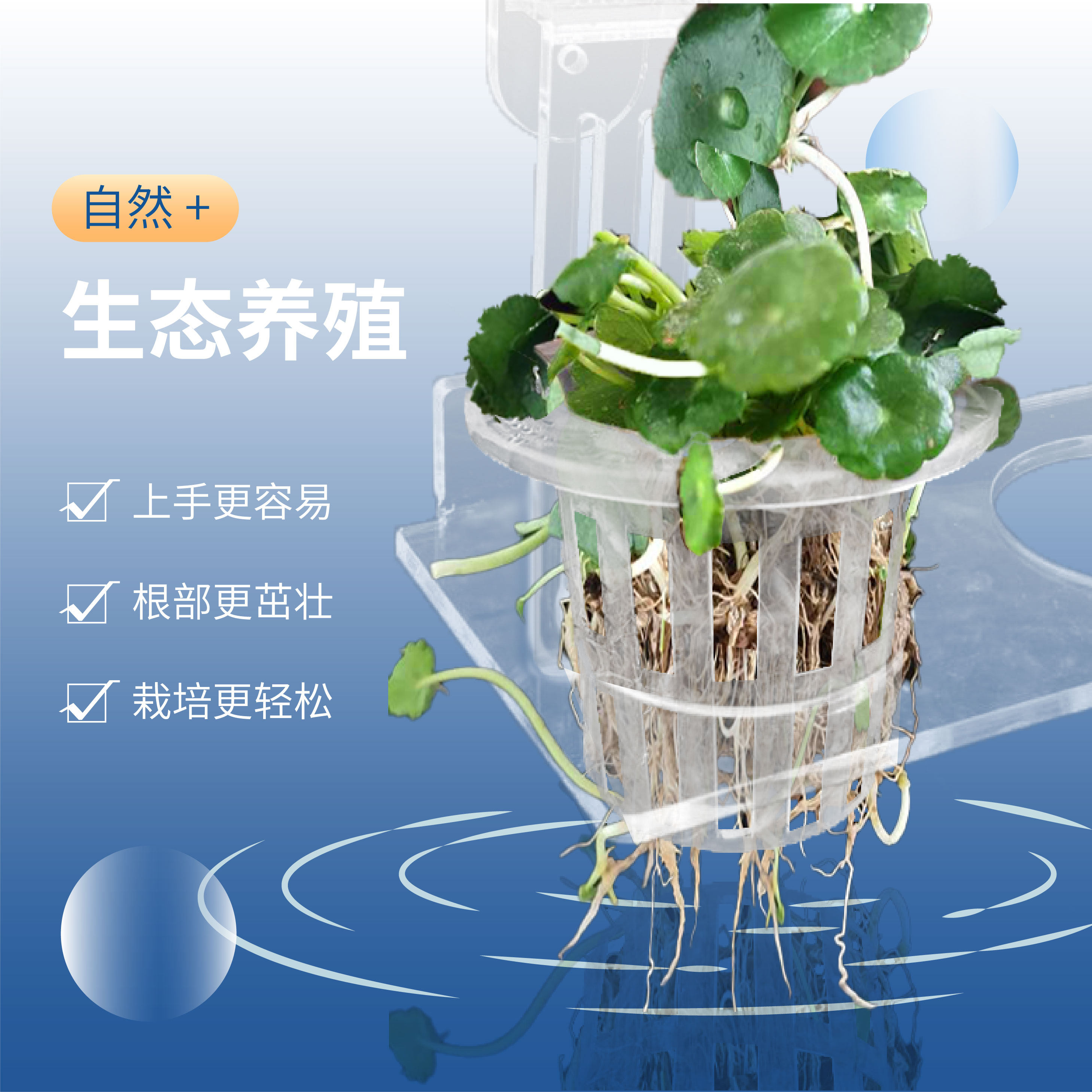 鱼缸水培植物支架定植篮固定水草杯造景绿植壁挂水生种绿萝红薯苗,淘宝优惠券,粉丝福利购,淘宝优惠卷