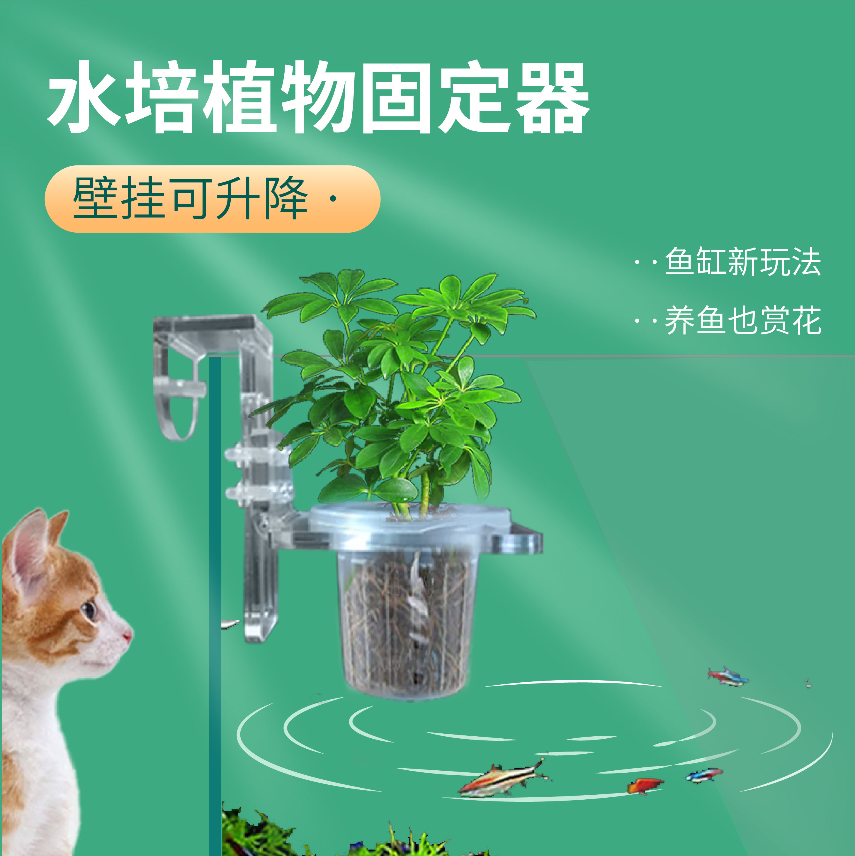 鱼缸水培植物支架定植篮固定水草杯造景绿植壁挂水生种绿萝红薯苗,淘宝优惠券,粉丝福利购,淘宝优惠卷