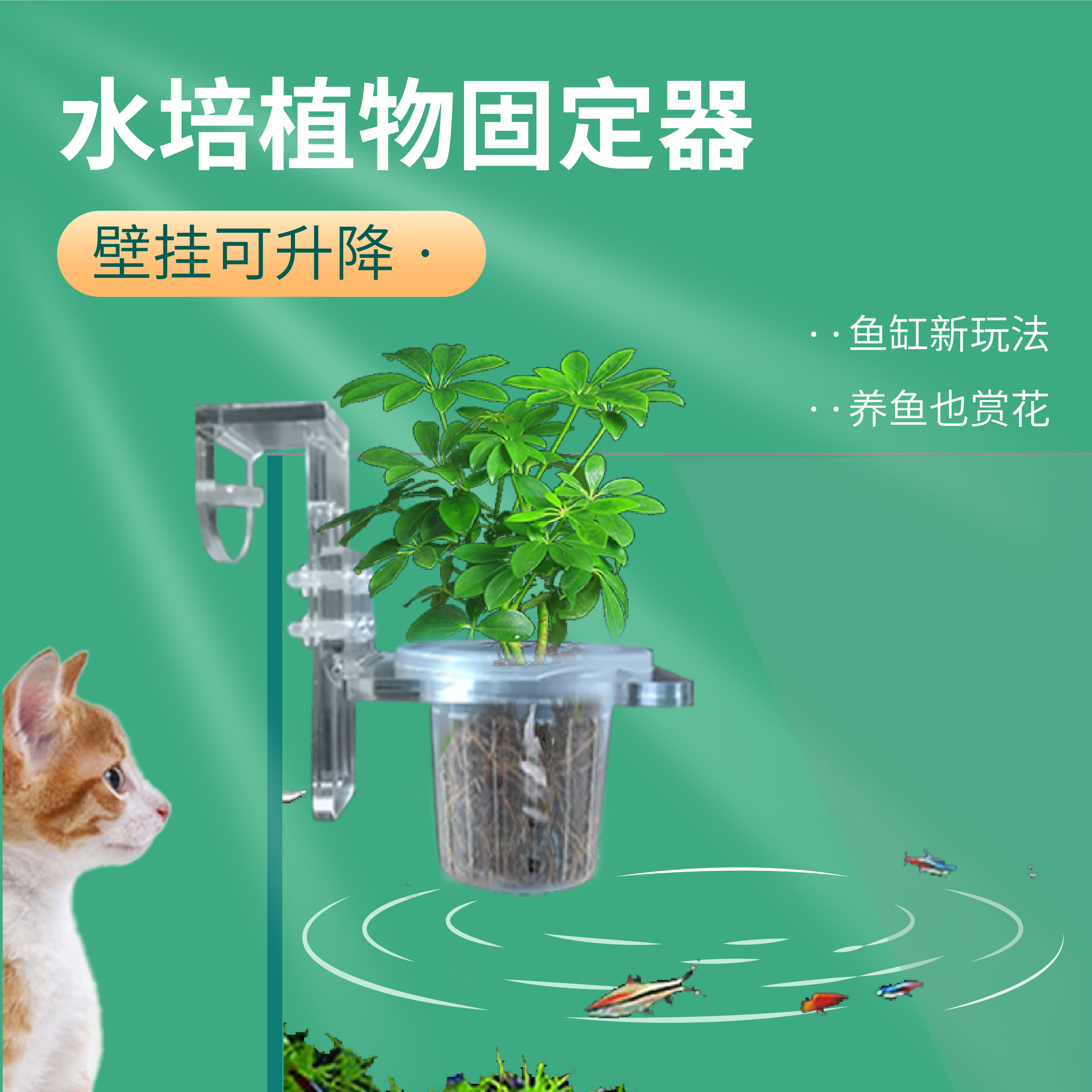 鱼缸水培植物支架定植篮固定水草杯造景绿植壁挂水生种绿萝红薯苗