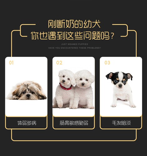 小洋森牛肉幼犬狗粮2.5kg柯基边牧阿拉斯加德牧金毛 - 图0