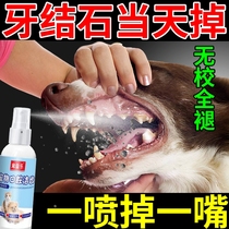 Dog dental calculus removal deviner except for mouth smelly teeth cleaning oral cleaning up dental calculus Dog dental calculus softener