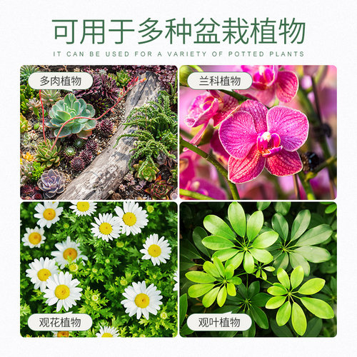 史丹利火山石颗粒红火山岩底砂天然多肉兰花专用养花红色铺面石 - 图3