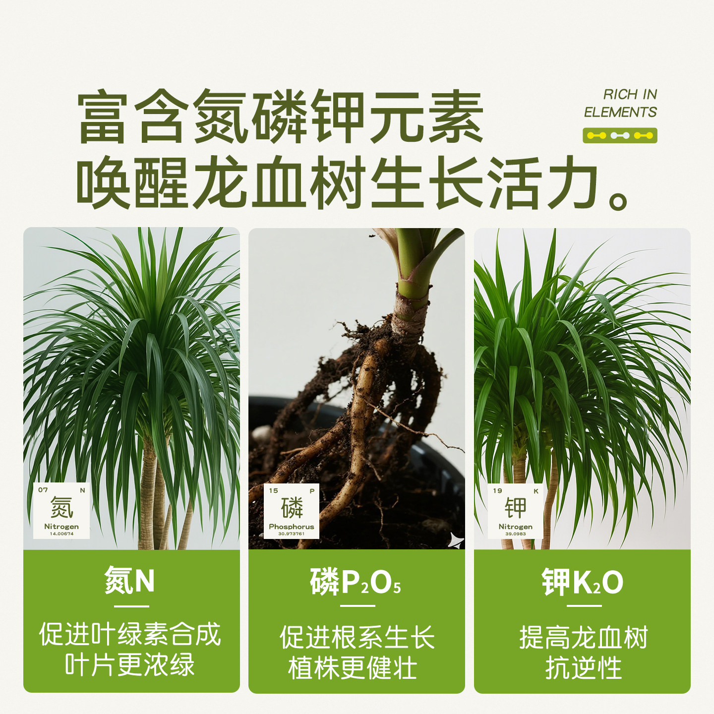 史丹利龙血树专用营养液植物促生剂再生黄叶烂根盆栽绿植复合肥料,淘宝优惠券,粉丝福利购,淘宝优惠卷
