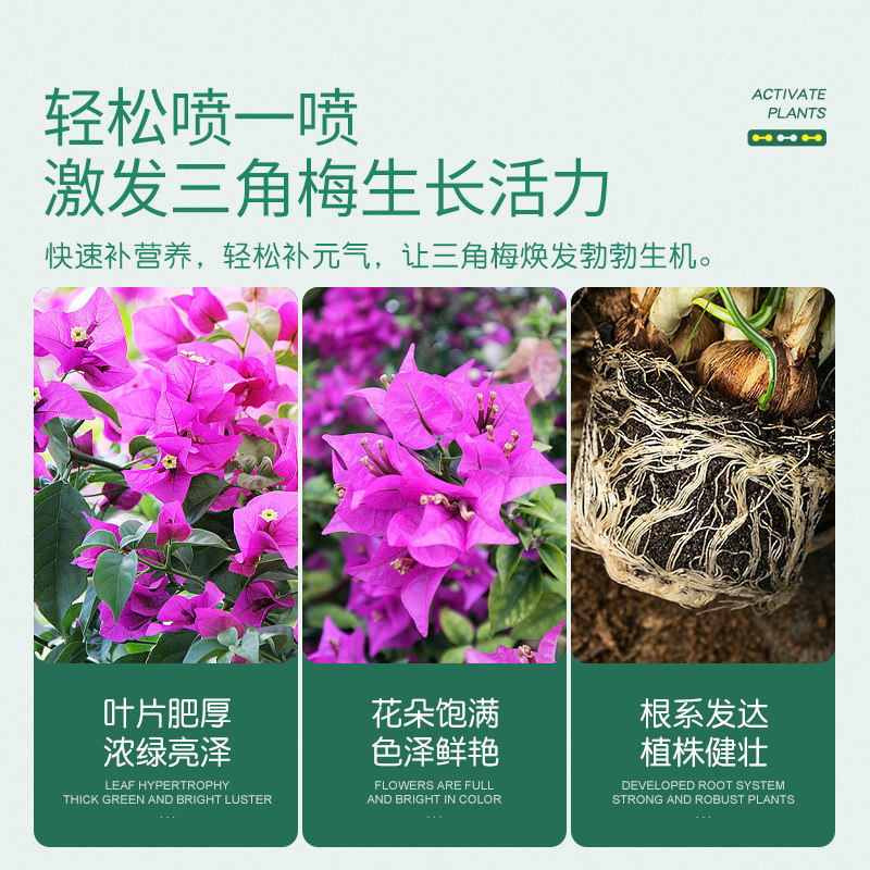 史丹利三角梅开花专用肥营养液免稀释促花爆花养花促开花复合肥料,淘宝优惠券,粉丝福利购,淘宝优惠卷