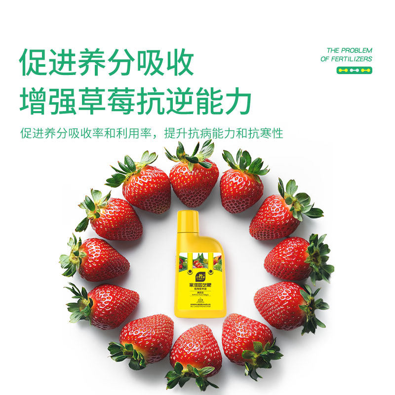 史丹利草莓专用肥营养液盆栽种植叶面肥平衡肥液体肥有机复合肥料,淘宝优惠券,粉丝福利购,淘宝优惠卷