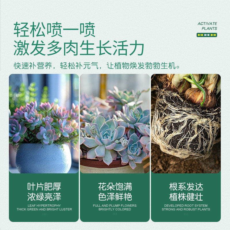 史丹利多肉专用免稀释营养液爆芽矮壮生根素盆栽家用养多肉的肥料,淘宝优惠券,粉丝福利购,淘宝优惠卷