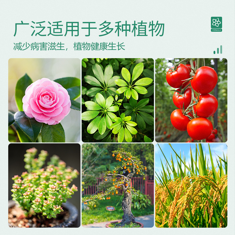 多菌灵杀菌剂箘灵白粉兰花黑斑病专用药植物月季花病虫害常用专治 - 图3