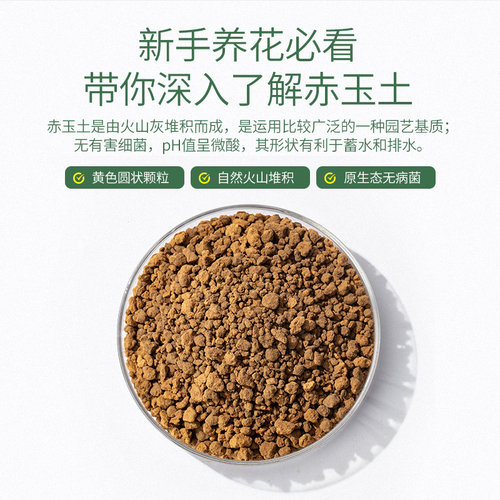 史丹利爬宠专用赤玉土黄缘龟颗粒扦插硬质天然爬宠旗舰店日本进口 - 图0