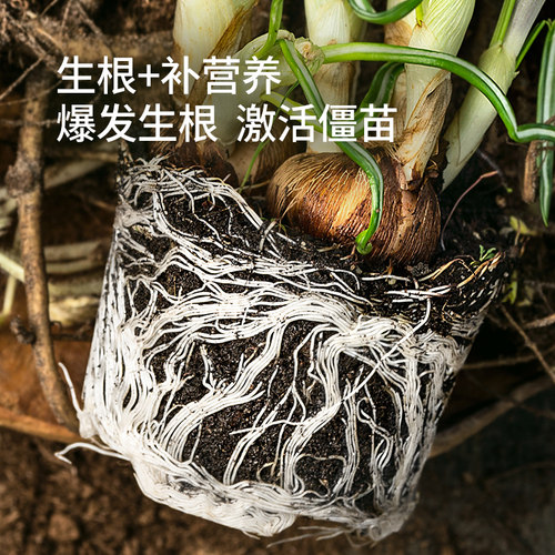 史丹利生根粉快速植物通用树木移栽生根剂壮苗强力生根液扦插专用 - 图0
