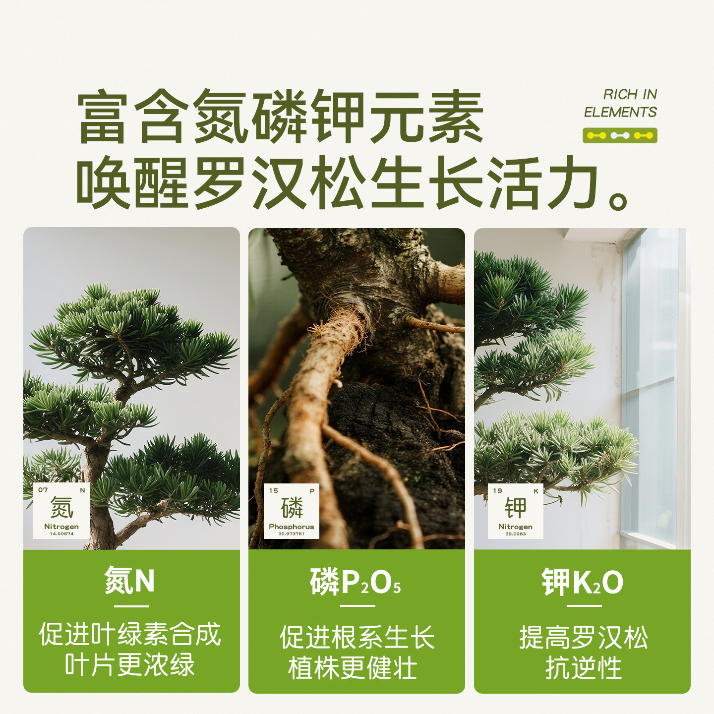 史丹利罗汉松专用肥营养液植物促生剂泰山松再生盆景通用复合肥料,淘宝优惠券,粉丝福利购,淘宝优惠卷