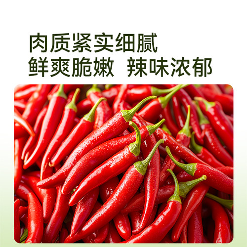 史丹利小米椒辣椒苗朝天椒樟树港秧苗四季盆栽南方北方蔬菜苗大全 - 图2