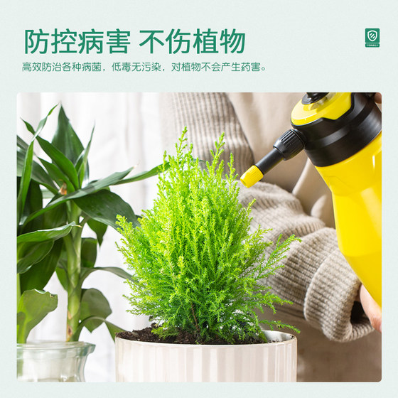 Stanley carbendazim fungicide general anther