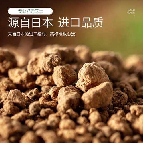 史丹利爬宠专用赤玉土黄缘龟颗粒扦插硬质天然爬宠旗舰店日本进口 - 图3