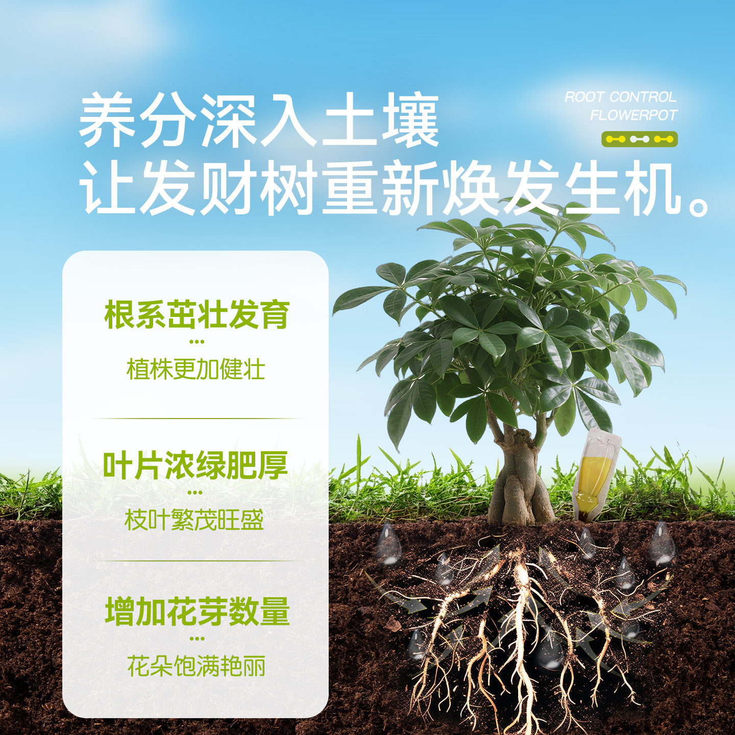 史丹利发财树专用肥营养液植物黄叶烂根再生盆栽花剂有机复合肥料,淘宝优惠券,粉丝福利购,淘宝优惠卷