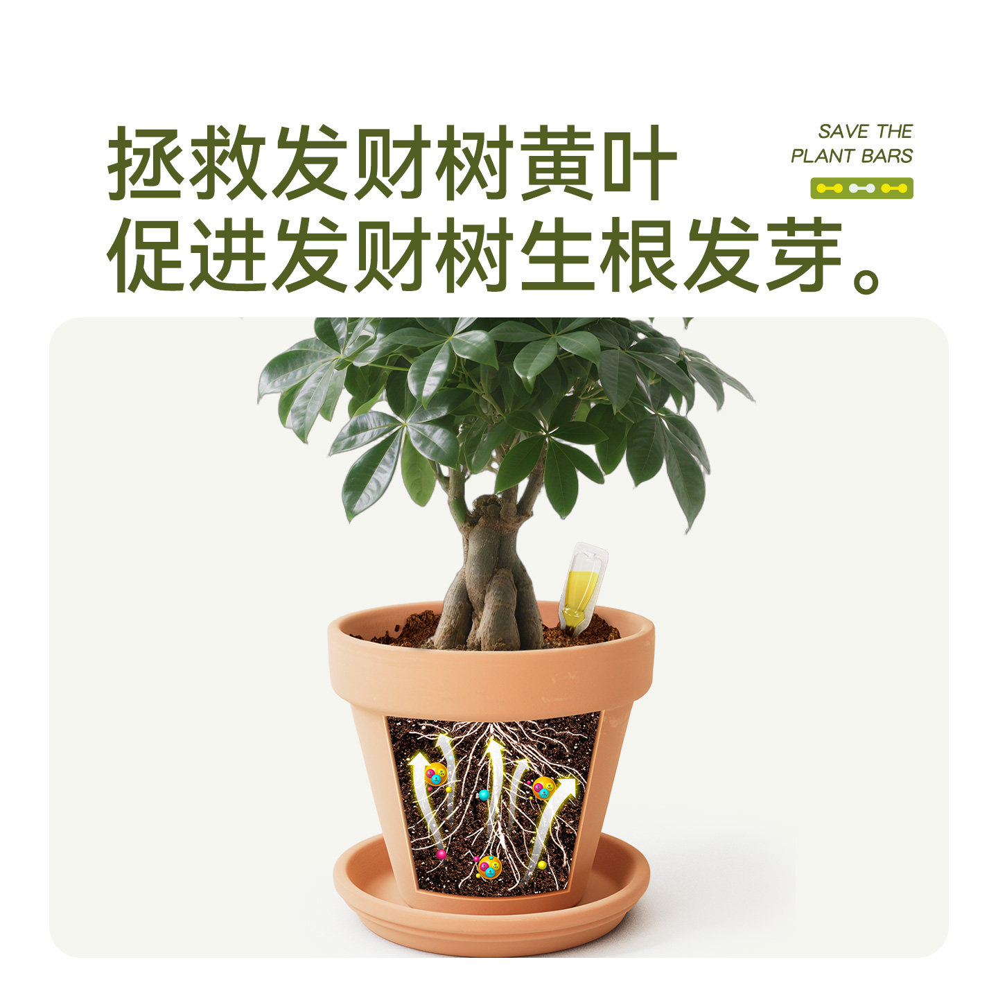 史丹利发财树专用肥营养液植物黄叶烂根再生盆栽花剂有机复合肥料,淘宝优惠券,粉丝福利购,淘宝优惠卷