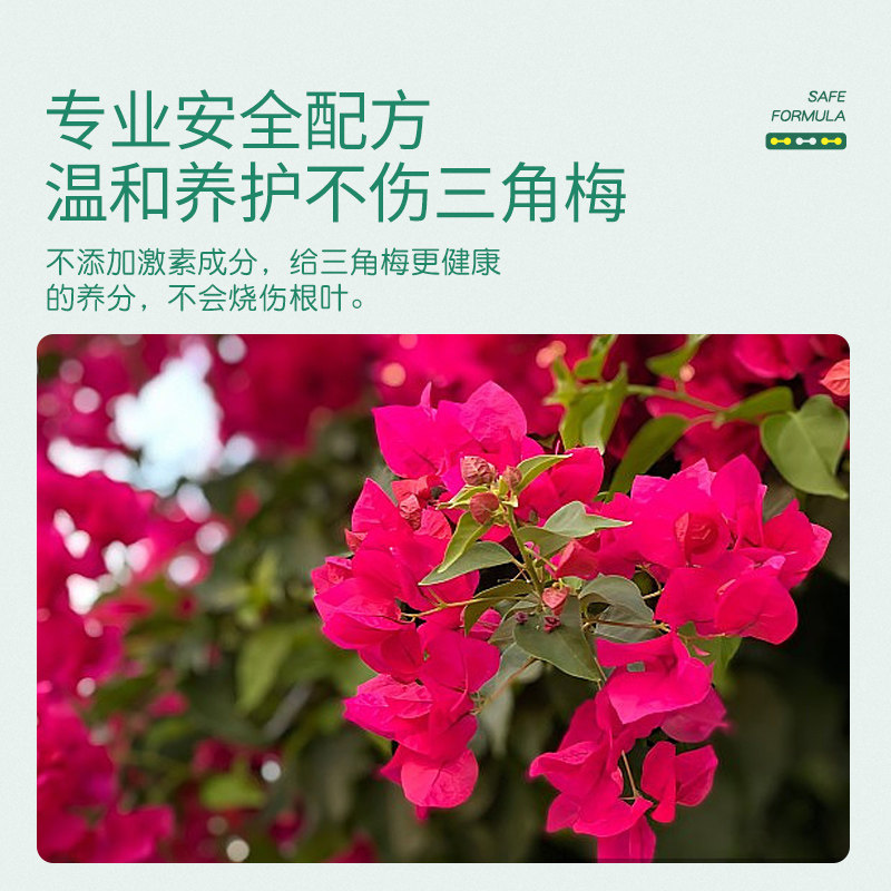 史丹利三角梅开花专用肥营养液免稀释促花爆花养花促开花复合肥料,淘宝优惠券,粉丝福利购,淘宝优惠卷
