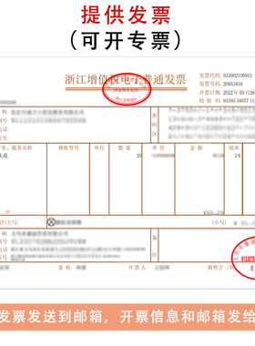 职业头花高档空姐护士发网发兜