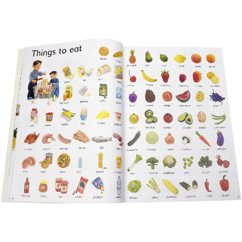 Usborne Everyday Words 尤斯伯恩 500个日常英语单词 日常词汇 英语学习 儿童早教读物 全彩插图 英文原版进口图书