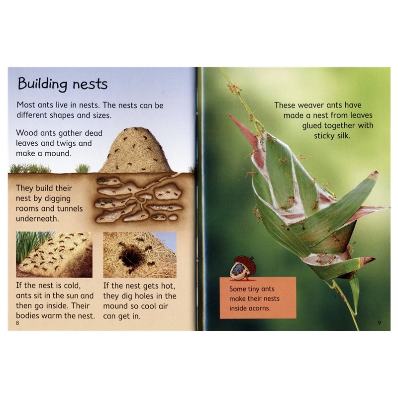 Usborne Beginners Science History Nature 尤斯伯恩初学者系列 科学历史自然 儿童趣味科普百科 英文原版进口儿童图书,淘宝优惠券,粉丝福利购,淘宝优惠卷