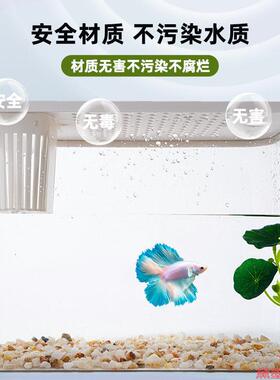 叶叶躲藏树叶观赏造景斗鱼休息叶产卵鱼缸睡觉床双叶摆件叶子睡床