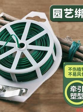 防腐捆扎线捆绑带带丝月季包塑铁爬藤架绿色线带植物绑花园艺扎带