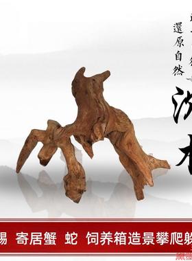 造景装饰杜鹃根沉木鱼缸躲避凤梨空气微景摆件造凤梨沉木装饰鱼缸