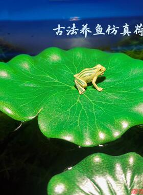 水上荷叶养鱼表演舞蹈仿真古法假花道具莲叶饭店假荷花新EVA新