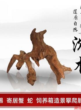 枯木朽木小号素材木款式晒台乌龟摆件免煮沉木微景迷你栖根树根躲