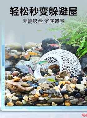 投喂水族馆镂空小型鱼美观躲避屋喂食圈装饰可移动定植篮鹦鹉鱼