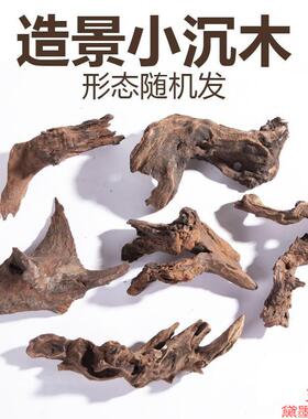 乌龟造景沉木禅意躲摆件枯木微景小躲避树枝迷你水族树桩水草缸成